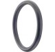 Plasson O-ring 110 -Oud Model-